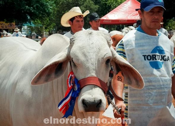 Esta noche se lanza oficialmente la 17ma Feria Internacional Expo Amambay 2012