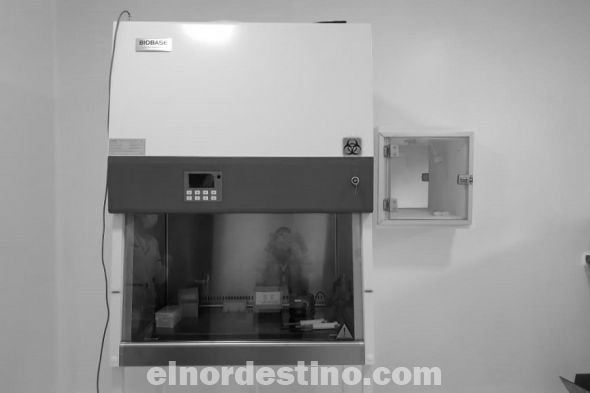El servicio laboratorial posibilita respuestas en la Red Nacional de Laboratorios, del Ministerio de Salud, ante la pandemia por COVID-19. El procesamiento de muestras es una realidad, para todas las muestras tomadas por hisopado en el Hospital Regional de Concepción. (Foto: Ministerio de Salud Pública y Bienestar Social).