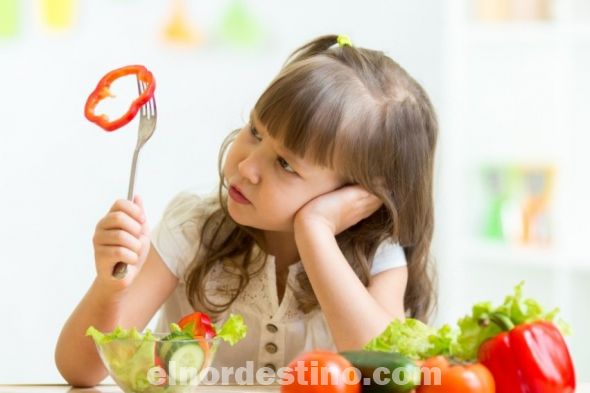 Recuerda que no se trata solo de subir de peso. El consumo excesivo de alimentos azucarados, procesados químicamente y ricos en grasas trans no constituyen la fórmula saludable para subir de peso. La obesidad infantil es un problema serio que es mejor evitar. (Foto: Vida Saludable).