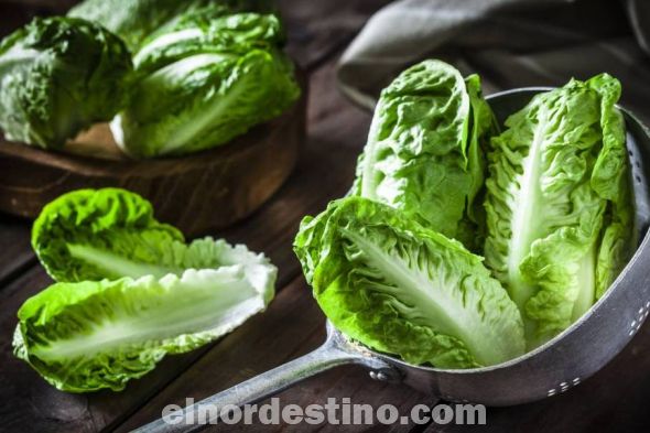 La reina de las ensaladas posee muchos beneficios, entre ellos: Ayuda a controlar el colesterol alto. Es fuente de antioxidantes que ayudan a disminuir el colesterol alto, retrasar  el envejecimiento celular y a mejorar la circulación. (Foto: Ilustración de Fanpage de Universidad Sudamericana).