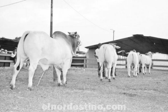 Según el presidente de la Regional la XIX edición de la Expo Amambay culminó con el éxito esperado