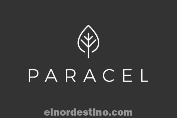 Los accionistas de la empresa, con sede en Suecia, tienen amplia experiencia en pesquisa y desarrollo del negocio de celulosa en toda su cadena productiva: de la reforestación sustentable a la producción de celulosa. (Foto: Paracel).