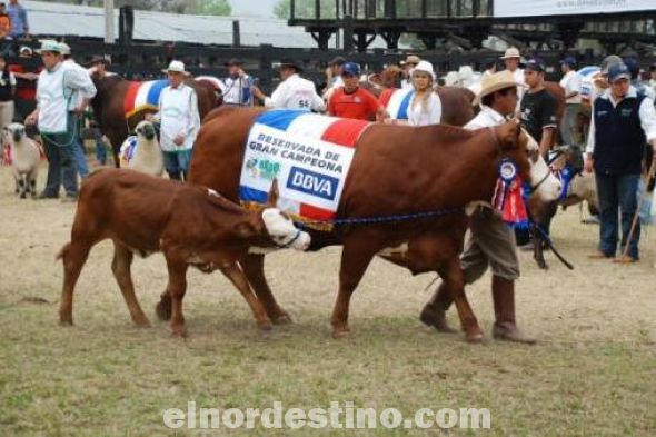 La Expo Norte de Concepción presenta un crecimiento de más del 50% de expositores para este año