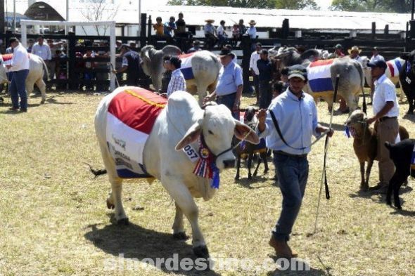 La XXIV Expo Norte que se realizó exitosamente en la ciudad de Concepción recibió a más de doscientos cuarenta mil visitantes