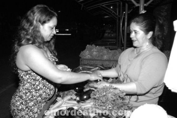 Agricultora de Pedro Juan Caballero produce más de cuarenta mil plantas de hortalizas