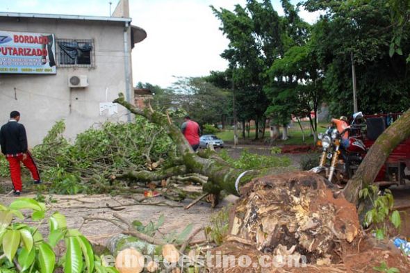 Central, Paraguarí, Amambay y Alto Paraná, las zonas más afectadas por la tormenta 