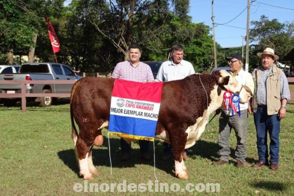 Los campeones y grandes campeones serán el atractivo principal en el acto inaugural de la Expo Amambay