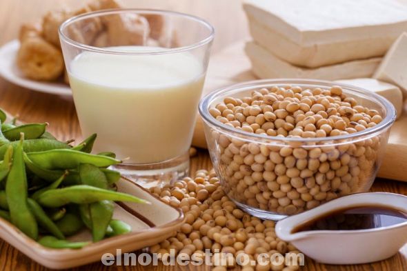 Universidad Sudamericana comparte cómo sacarle partido a la soja y las cualidades nutricionales que la hacen digna de su buena fama. Es un magnífico aliado para combatir o aliviar el estreñimiento, mejorando el tránsito intestinal. (Ilustración: Fanpage de Universidad Sudamericana).