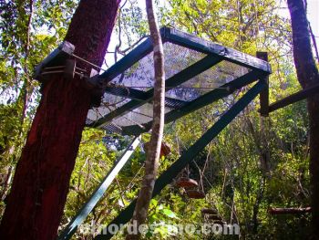 Cada puente comienza con una plataforma, a la que se accede por medio de una escalera. Para practicar estos cruces se debe utilizar el correspondiente casco y arnés. Además de respetar ciertas reglamentaciones.