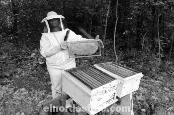 El Comité de Productores Apa Poty agradece al Gobierno Departamental por las herramientas de Apicultura recibidas por dicha nucleación. (Foto: Dirección de Comunicaciones de la Gobernación de Amambay). 