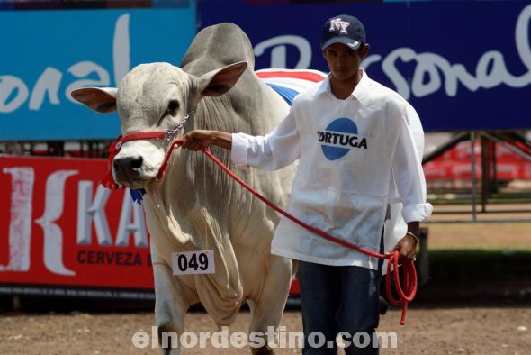 El acto inaugural de la 17ma Feria Internacional Expo Amambay 2012 finalizó el acto con el Desfile de los Campeones y Grandes Campeones. (Foto: Diego Lozano).