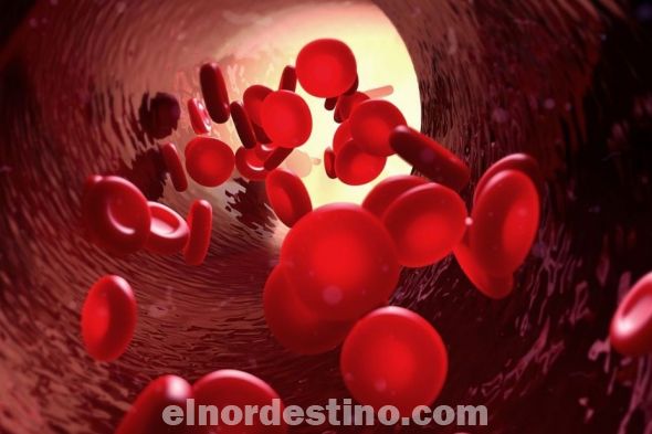 Las hemoglobinopatías son trastornos que afectan la estructura, la función o la producción de hemoglobina. Suelen ser hereditarias y su gravedad va desde constituir un dato anormal en una prueba de laboratorio en una persona asintomática, hasta causar muerte fetal intrauterina. (Foto: Divulgación).
