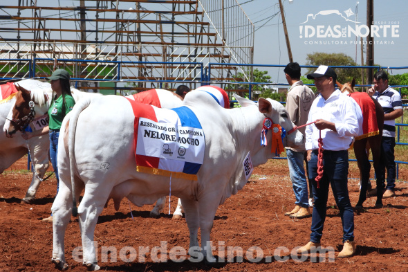 El jurado de juzgamiento tuvo un arduo trabajo debido a la cantidad y calidad de animales que participaron este año, por lo que costó mucho elegir a los campeones, al encontrar linajes especiales y pocas veces visto. (Foto: Diego Lozano para Ideas del Norte Consultora Publicitaria).