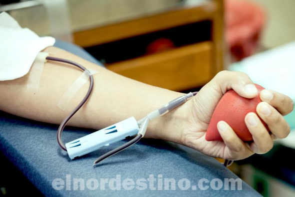 El Ministerio de Salud Pública y Bienestar Social, a través del Centro Nacional de Servicio de Sangre lleva adelanta la colecta voluntaria de sangre, con el fin de regalar vida mediante la donación voluntaria y repetida de sangre. (Foto: Ministerio de Salud Pública y Bienestar Social).