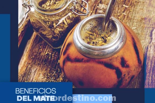 Universidad Sudamericana presenta los impresionantes beneficios de la yerba mate, la infusión más popular en nuestra región