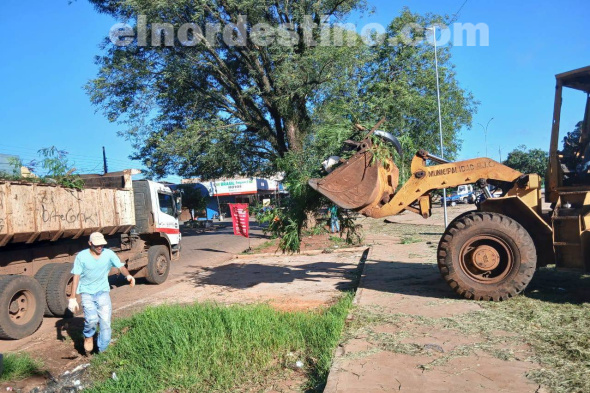 El abogado Germán Casanova Lugo, titular del Departamento de Salubridad e Higiene de la comuna, informó que ni bien los trabajadores vayan limpiando, irán reponiendo mudas de plantas nativas y frutales en dónde haga falta. (Foto: Diego Lozano para Ideas del Norte Consultora Publicitaria).
