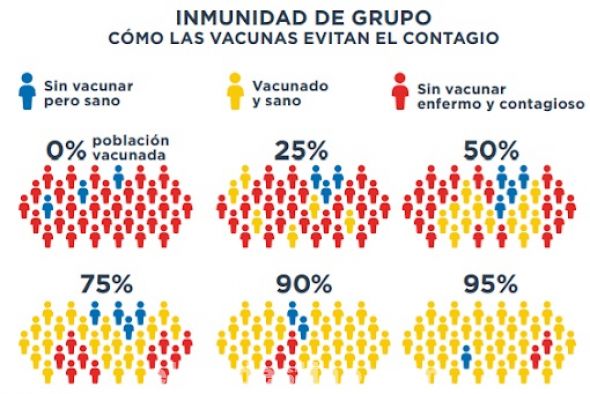 La idea de la inmunidad de rebaño consiste en que, cuando mucha gente es inmune a una enfermedad contagiosa, generalmente a través de vacunarse contra esa enfermedad, es más difícil que esa infección se contagie en el seno de una comunidad. (Foto: Divulgación).