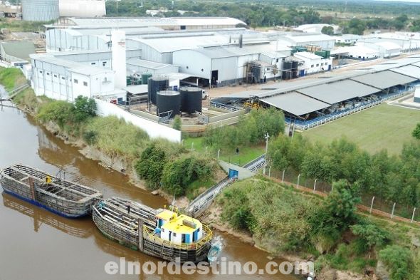 El Frigorífico Concepción está realizando una inversión de dos millones y medio de dólares en la ampliación de sus depósitos