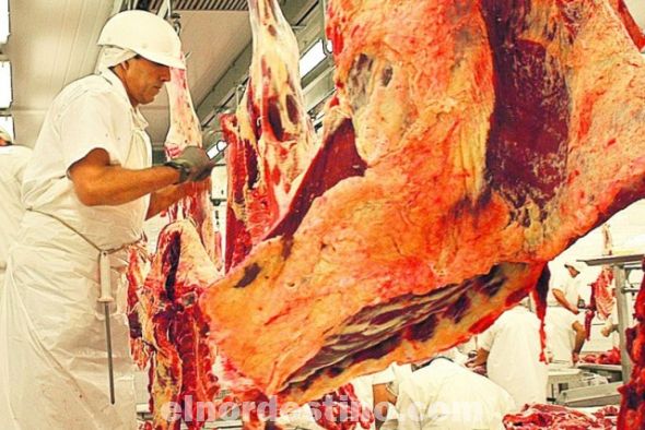 Frigorífico Concepción lidera ránking de envíos cárnicos según un informe del Servicio Nacional de Calidad y Salud Animal