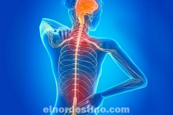 Como los síntomas de la Esclerosis Múltiple pueden ser muy variados, la mejor opción es, por cada nuevo síntoma, consultar con el neurólogo para que este indique el mejor tratamiento para abordarlo. (Foto: Divulgación).