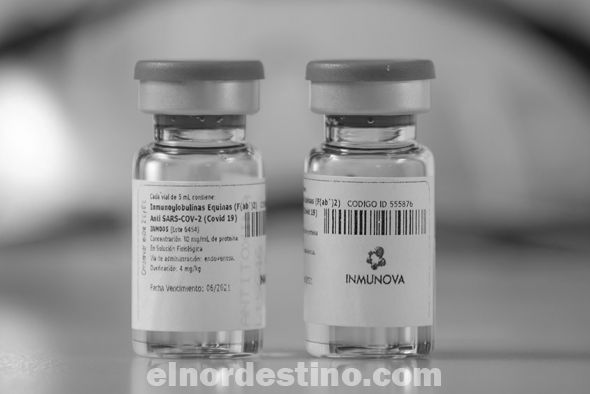 Logramos desarrollar un suero hiperinmune, y demostramos junto al laboratorio nacional de referencia, el Instituto Malbrán, dirigido por la doctora Elsa Baumeister (Foto: Infobae.com)