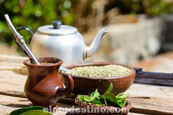 La yerba contiene compuestos antioxidantes, como los derivados de la cafeína y los polifenoles, que pueden protegerte contra la enfermedad cardíaca, reduciendo los niveles del colesterol malo. (Foto: Divulgación).