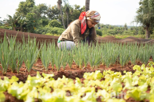 En Paraguay, más de un millón de mujeres viven en áreas rurales, y su participación en la agricultura, la seguridad alimentaria y la lucha contra la pobreza es esencial para la sostenibilidad de estos sectores. (Foto: Ministerio de la Mujer).