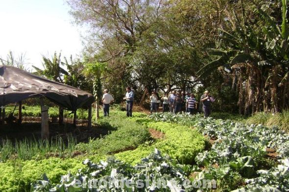 Mision técnica paraguaya conoce proyecto de producción sustentable en Matto Grosso do Sul