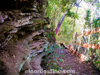El circuito de Arborismo o Canopy Tour del Complejo Chakurrai se inicia con un sendero de 60 mts. hasta la primera plataforma donde se inicia el conjunto de los 4 primeros puentes conceptuales de arborismo.