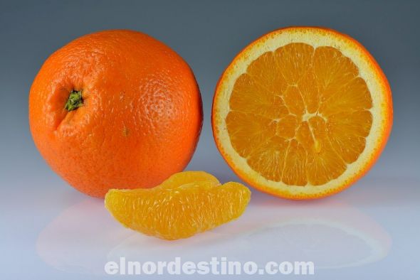 Por su intensidad y aroma la naranja es un ingrediente protagonista de muchas recetas, su empleo aporta frescura y sabor a tus platos. Además de enteras, las puedes disfrutar en mermeladas y bizcochos en tu mesa del desayuno, en frescas y aromáticas ensaladas o en exóticos guisos y asados de carne o pescado. (Foto: Vida Sana).