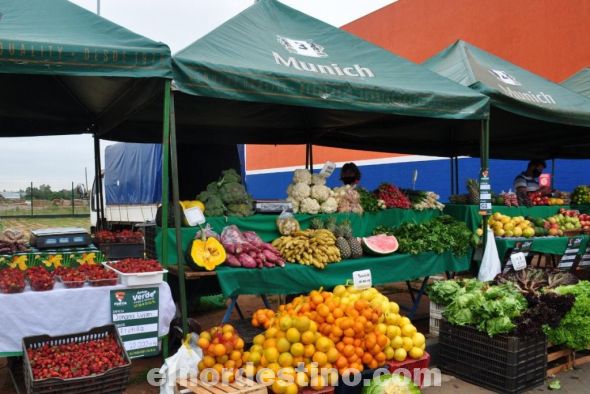 La presidenta de la feria de la plaza Pinedo y representante de mujeres Kuña guapa concepcioneras también dicen presente a “Domingo Verde” con lo mejor en cuanto a hortalizas, semillas y queso se refiere. (Fanpage de Facebook de Fortis Mayorista).