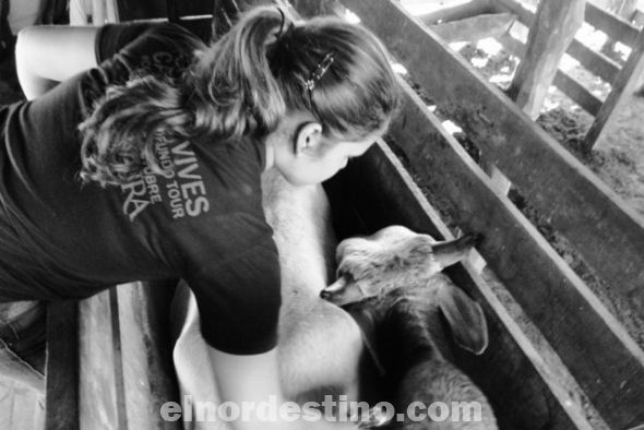 Cursos de Sinafocal beneficiaron a más de doscientos pobladores en el departamento de Concepción