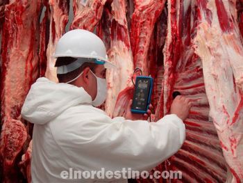 Los envíos al exterior cayeron en los últimos meses, lo que hizo descender el porcentaje de exportación.