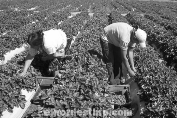 Se realizó la 2ª Feria de Producción Campesina “la agroecología aplicada en las fincas campesinas y el desarrollo territorial”