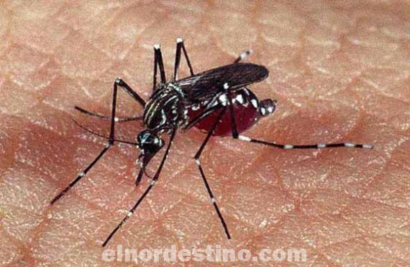 La Municipalidad de Yby Yaú declaró emergencia distrital debido a la gran cantidad de personas que están enfermas de dengue