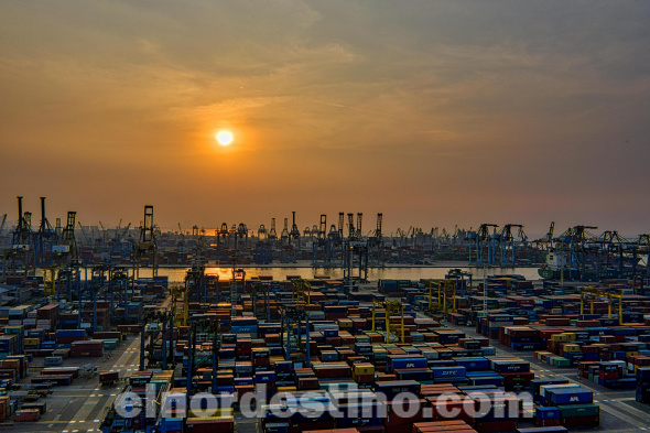 Según el informe de la de la REDIEX, la concreción de las exportaciones a nuevos mercados internacionales, con ventas se destacan tanto por la variedad de productos como por la importancia de los destinos alcanzados. (Foto: del Ministerio de Industria y Comercio de Paraguay). 