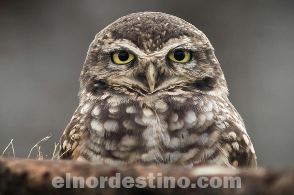 Ruta de la Soberanía y otras obras pendientes del Gobierno Nacional para fomentar el desarrollo económico