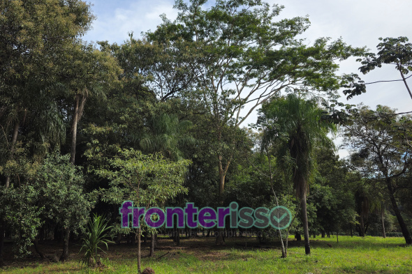Condominio Santísima Trinidad es otra de las propuestas que Unión Emprendimientos Inmobiliarios S.A. presentó. El barrio cerrado tiene seguridad privada, piscina, quincho, área de juegos para niños, y sobre todas las cosas paz y naturaleza. (Foto: Diego Lozano para Ideas del Norte Consultora Publicitaria).